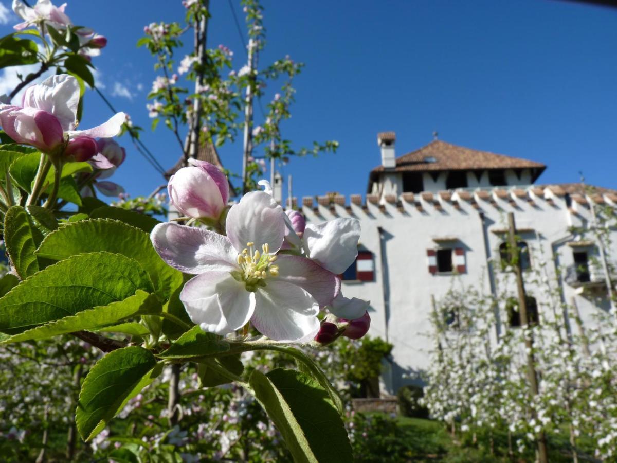 Apartments Schloss Paschbach Appiano Sulla Strada Del Vino Exterior photo